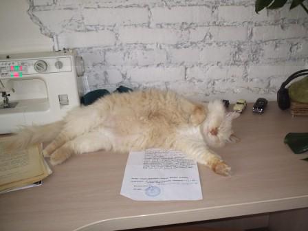 P10100567510.JPG