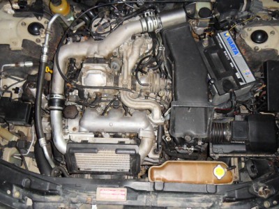 SDC10760.JPG