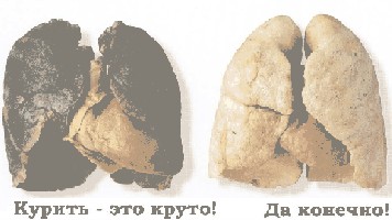 Smoke.jpg