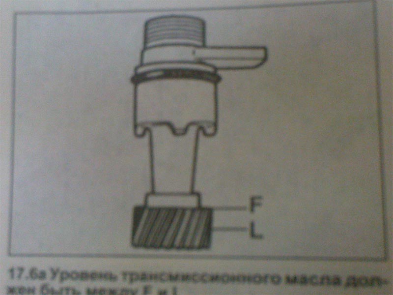 1111.jpg