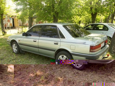 PICT3120.jpg