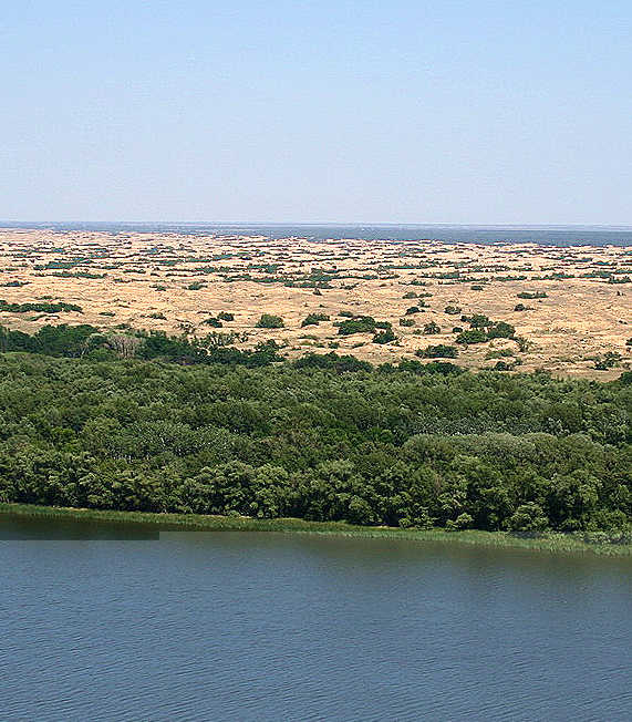 !2009_06_11-21_srdon09_Dekhanov_IMG_9916_Golubinskie_peski.jpg