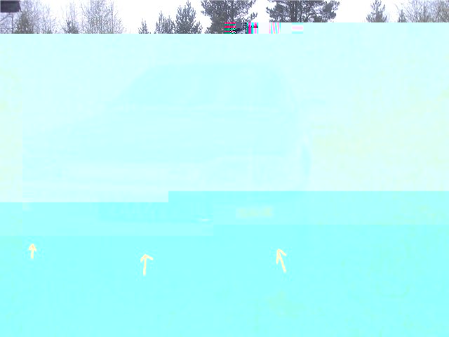 4560a4daa7f4.jpg