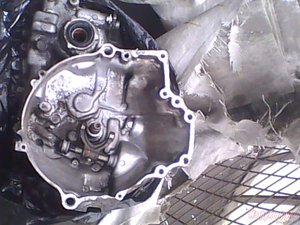 db9e6eef2-50012424-large.jpg