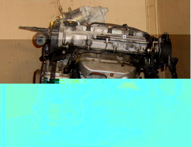 111.JPG