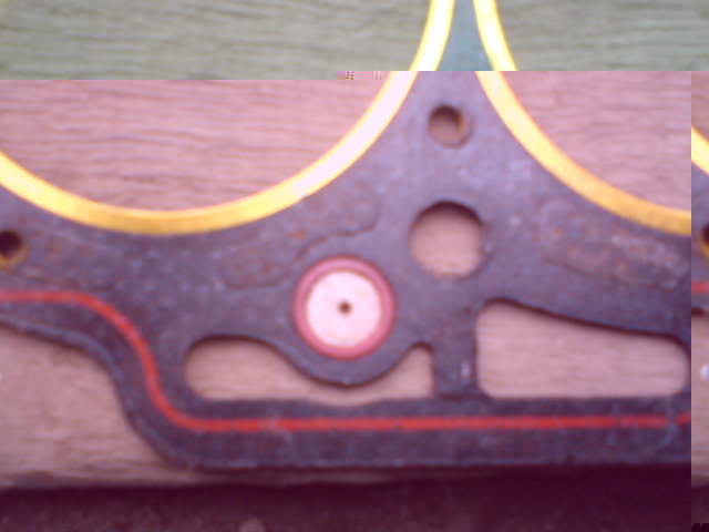 DSC00091.JPG