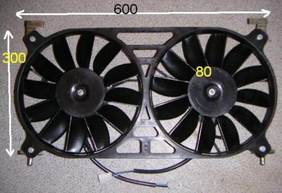334.jpg