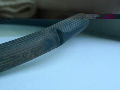 P7120016.jpg