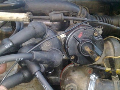 28072010386.jpg