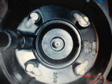 DSC00206.gif