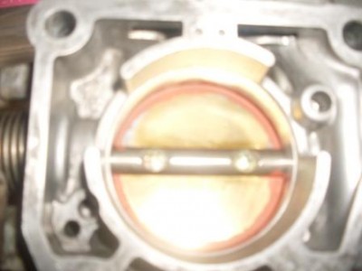 SDC12226.JPG