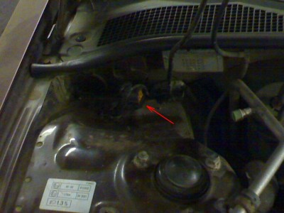 21092010191.jpg