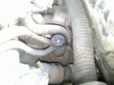 DC100930002.jpg