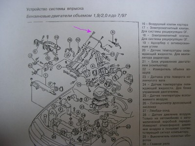 P1011174.JPG