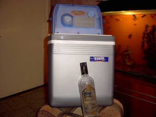 SV300032.JPG