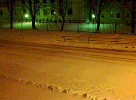 03501.gif