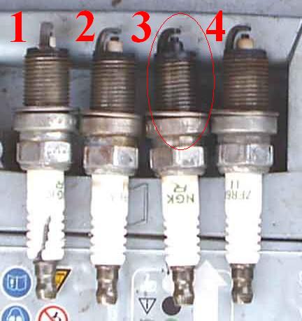 pic4.JPG
