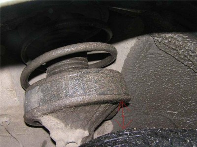 cd8832db16fa[1].jpg