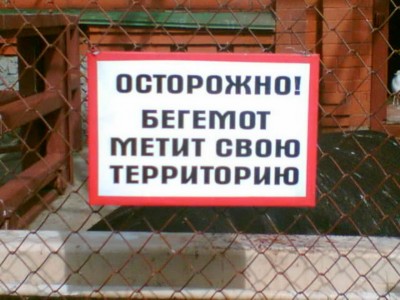 Image(534).jpg