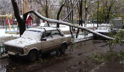 -пот.jpg