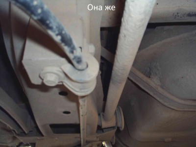 S3011796 ona je.jpg
