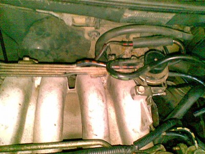 04072011276.jpg