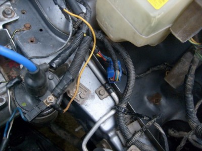 S6301949.JPG