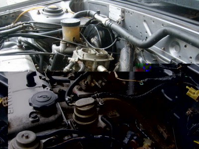 S6301953.JPG