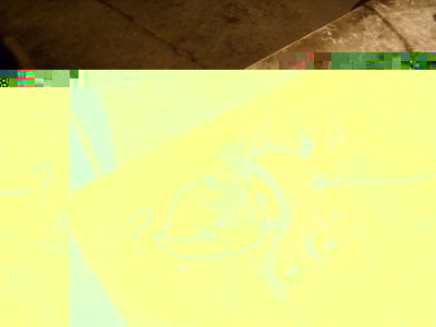 S6301990.JPG