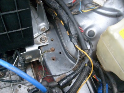 S6301950.JPG