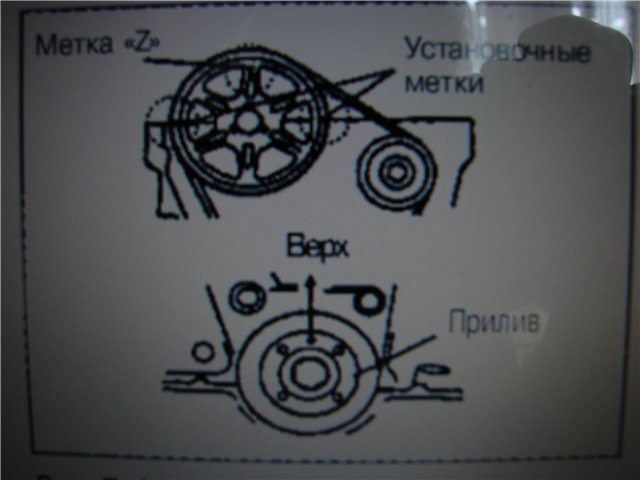 da31632c8f2c.jpg