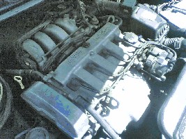 Image(07).jpg