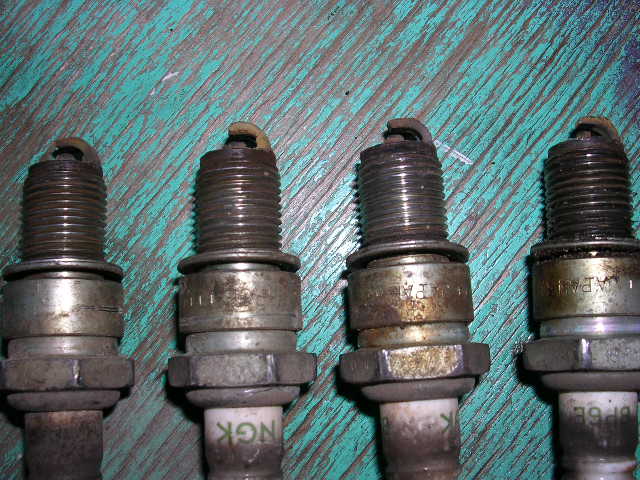 DSCN0526.JPG