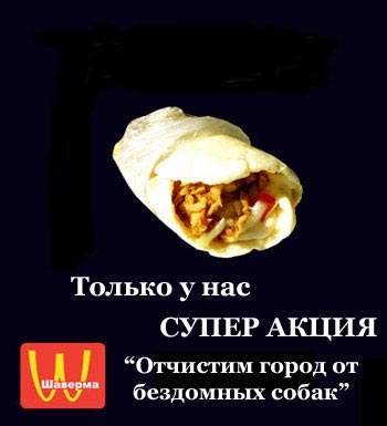 1242417.jpeg