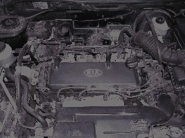 DSCN2020.JPG
