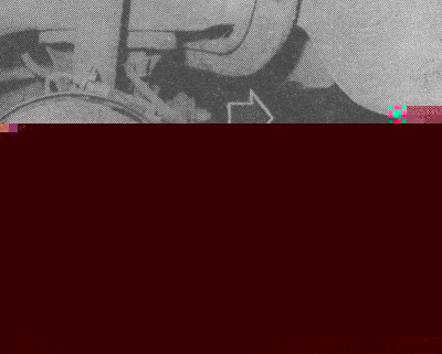 natyag.jpg