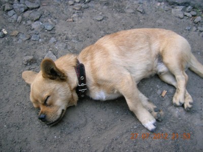 DSCN1757.JPG