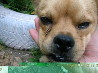 DSCN1759.JPG