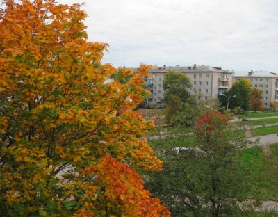 IMG_1721.JPG