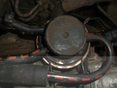 DSCF2339.jpg