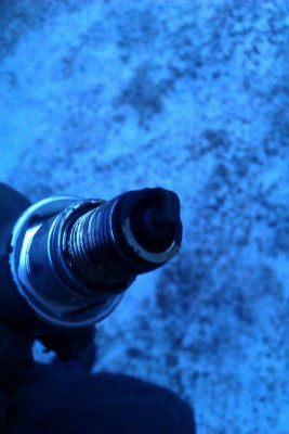 IMAG0420.jpg