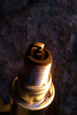 IMAG0422.jpg