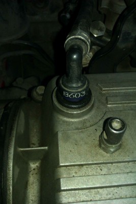 IMAG0419.jpg