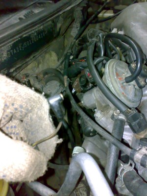 26012013050.jpg