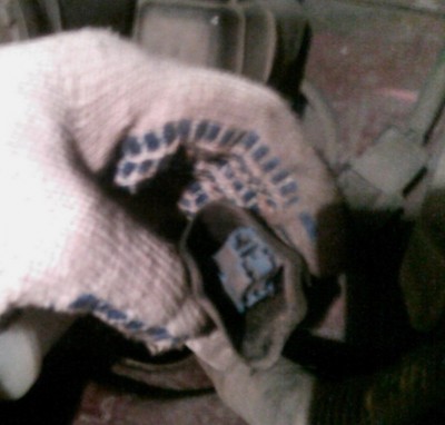 CAM_0460.jpg