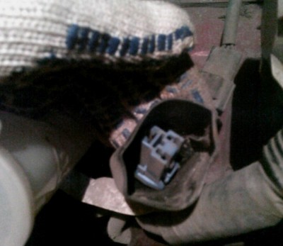 CAM_0461.jpg