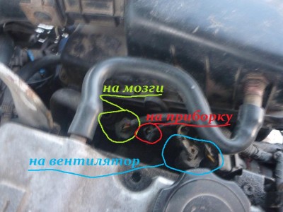 P10003771.jpg