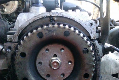 IMAG0495.jpg