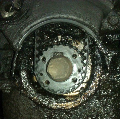 IMAG0497.jpg