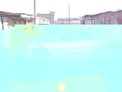 8520259.jpg